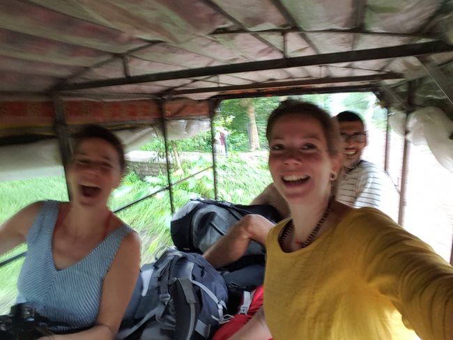 Berge, Großstadtdschungel und Mangroven - zwei Schwestern auf Reisen