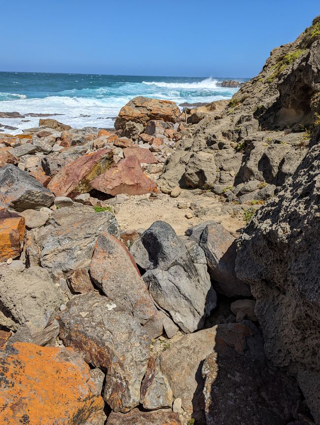Plettenberg Bay/Robberg Nature Reserve