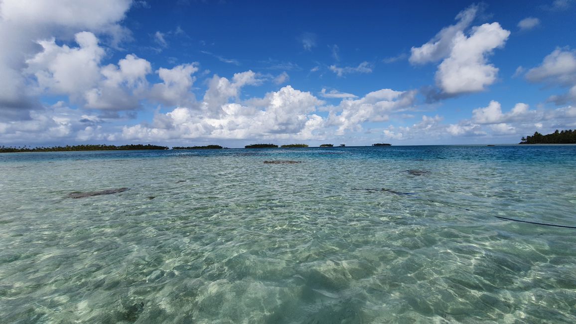 An atoll, sharks and the 'blue lagoon'