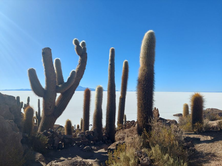 Uyuni, La Paz, vorläufiges Ende