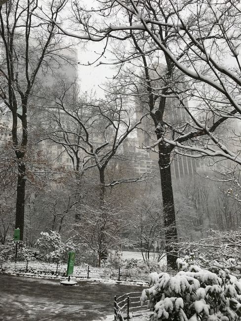 NYC - Christmastime and first snow