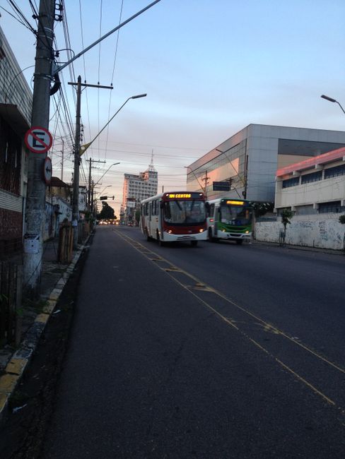 Brasilien: Manaus