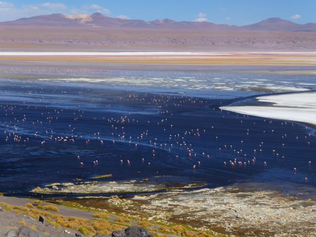 Uyuni & Atacama - Unglaubliche Weiten