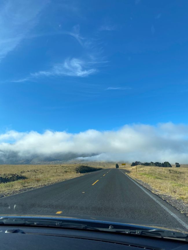 Weg zum Mauna Kea
