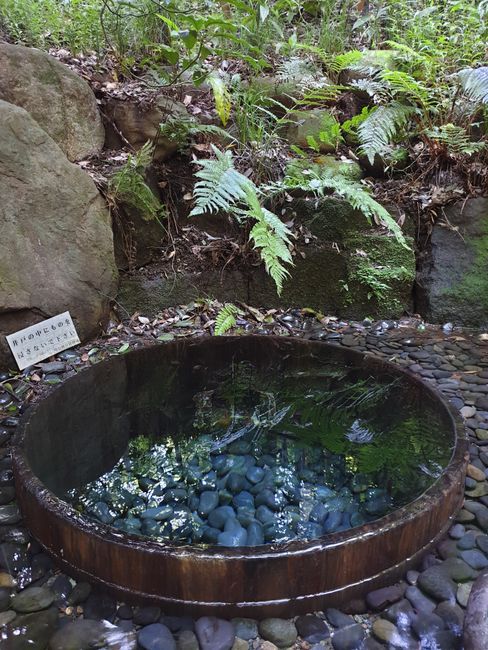 Kiyomasa Quelle - die Quelle fließt aus diesem Behälter, in dem das Wasser so wahnsinnig still erscheint, es fließt nur ganz langsam über den Rand, live ein toller Blick in das stille, klare Wasser 
