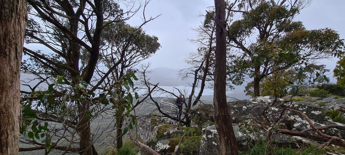 Day 10+11 - The Grampians, kangaroos with joeys