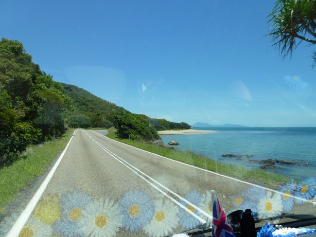 Scenic drive along the East Coast to Port Douglas
