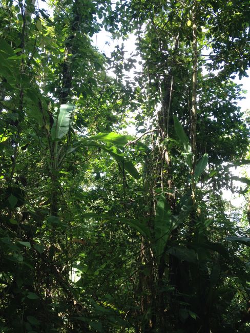 Costa Rica vacation