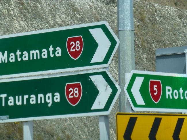 Rotorua - Matamata - Hahei (Coromandel) - Day 9 in New Zealand
