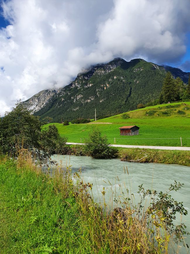 Senderismo en el valle de Gschnitztal, flores silvestres en el valle de Schmirntal