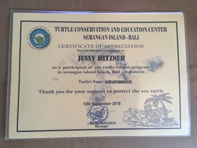 Turtle Conservation and Education Center, Serangan