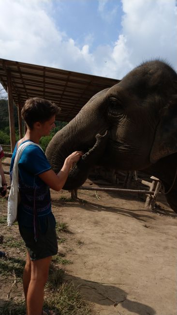 23 and 24 November. A day with elephants