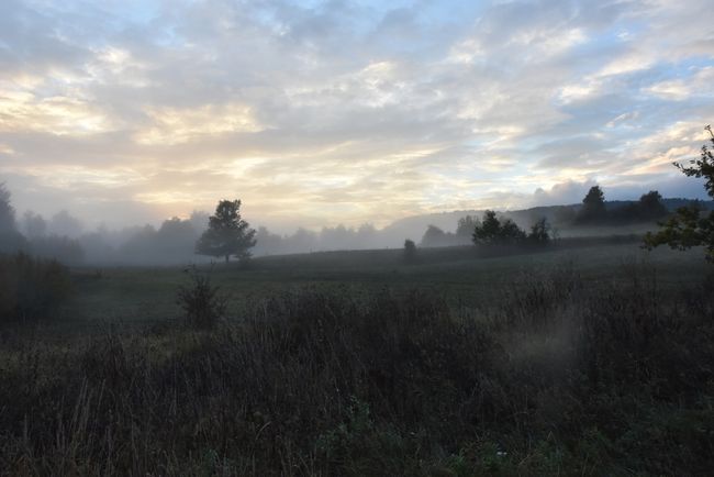 Felder im Nebel, gefunden während der Standplatzsuche