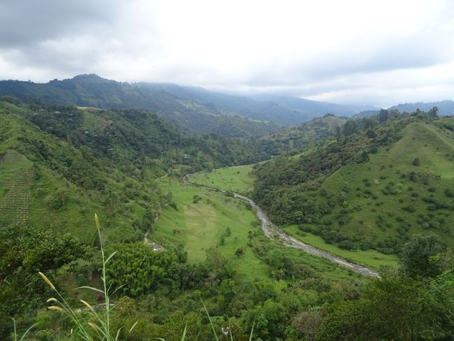 Valle de  Cocora, Kolumbien