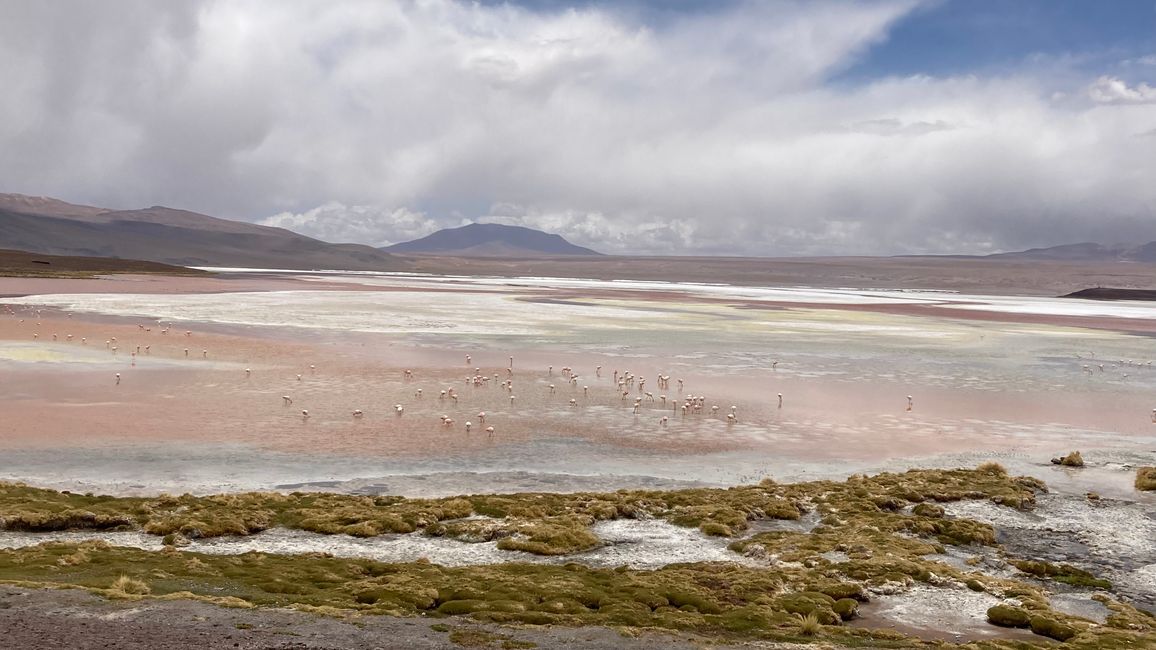 Las Lagunas in the Altiplano