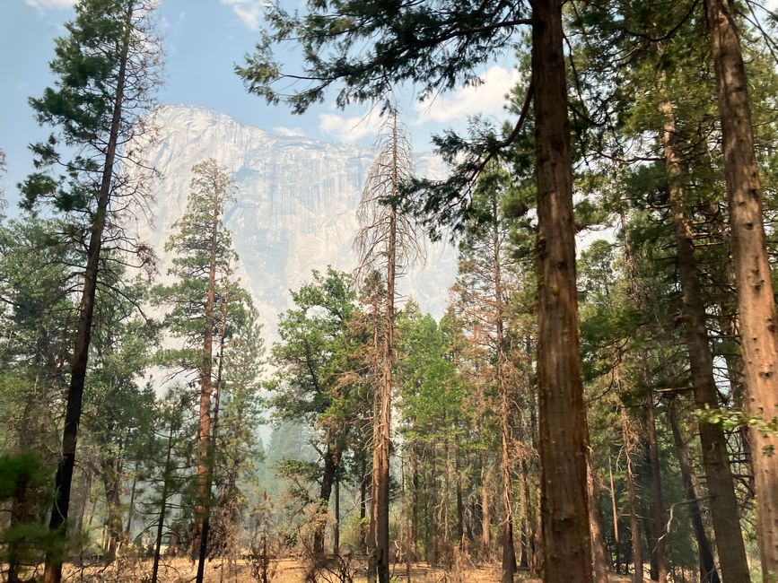 Yosemite Tag 1