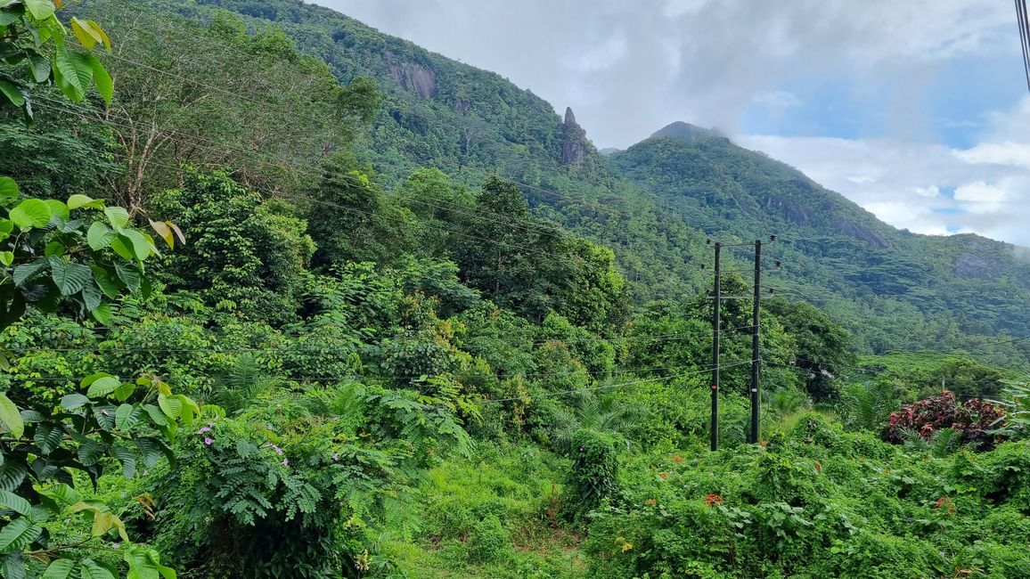 Seychelles 2023 - Parte: 3 Mahé
