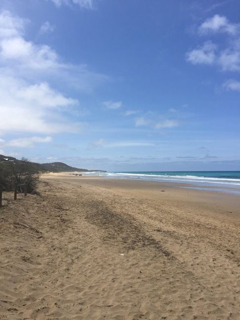 3. Capítulo - Gran Ruta Oceánica y Navidad en Sydney