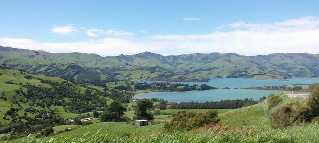 From the moving car, on the way to Akaroa