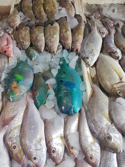 Jimbaran Fischmarkt
