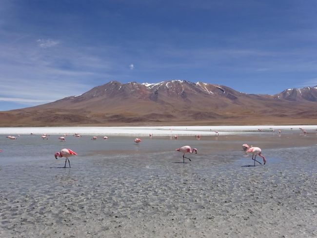 Bolivien: Salar de Uyuni