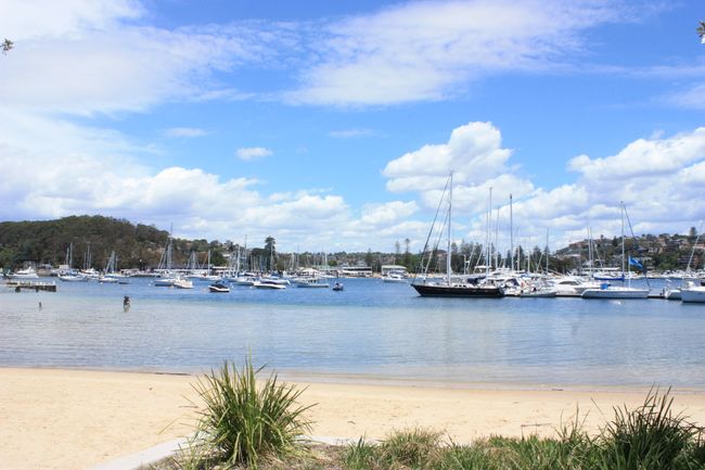 Wander from Spit Bridge to Manly