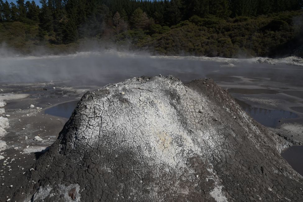 Hell's Gate Thermal Area - Mud volcano