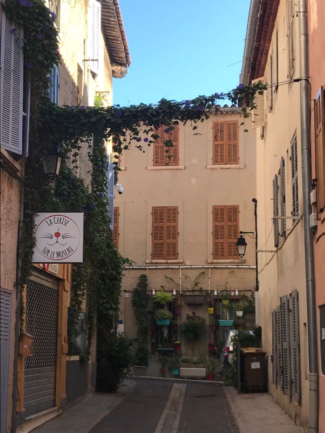 Small alleys everywhere in Cassis