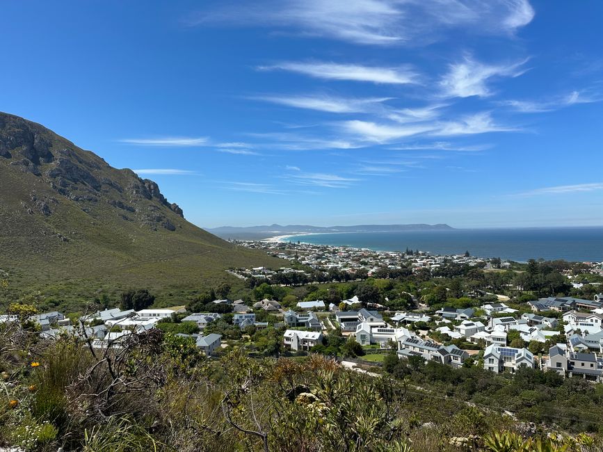 Hermanus ♥️