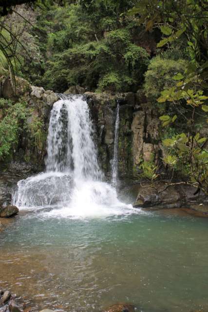 Waiau-Falls