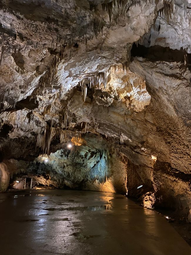 Montenegro … Tag 14 „Lipa Cave + Karuc“