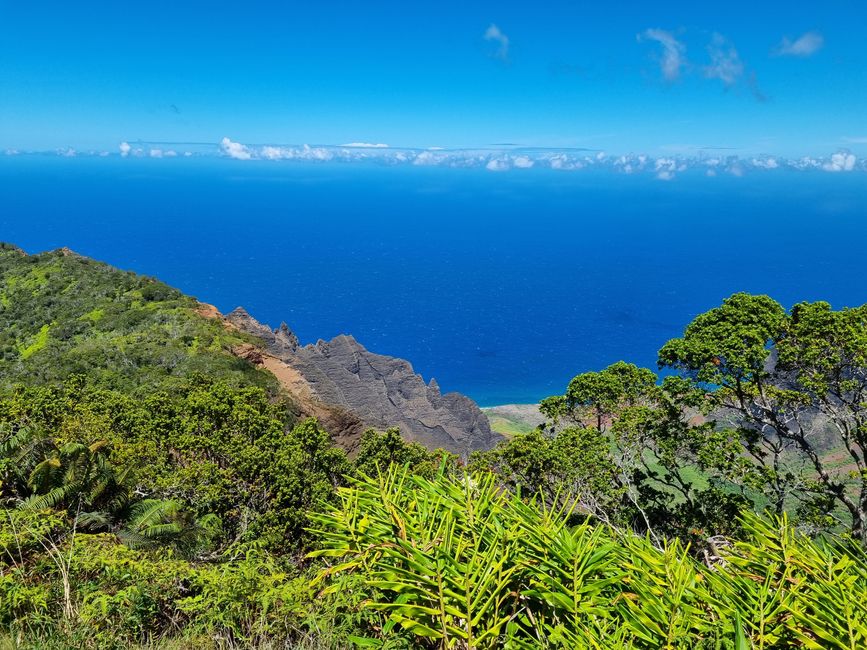 Hawaii 2022 - Teil 2: Kauai