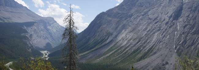 View from the Icefields Parkway
