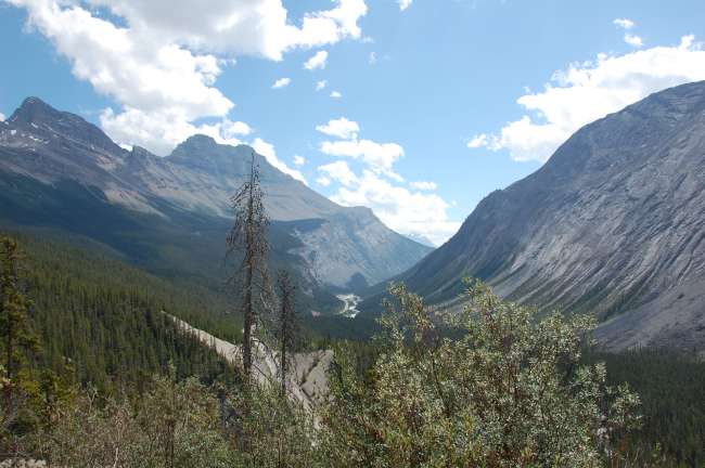 View from the Icefields Parkway