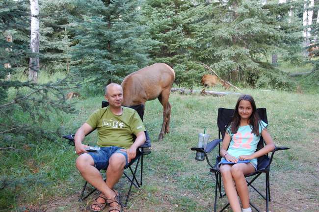 Visit to Jasper Campground