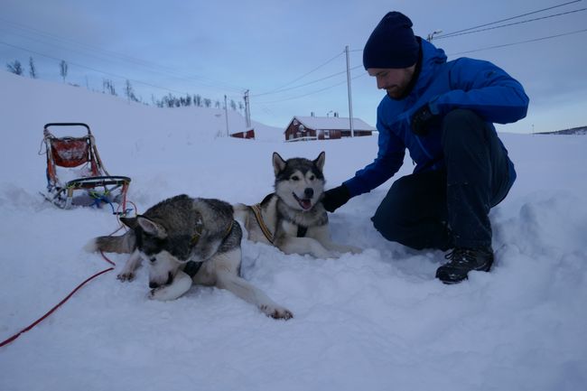 Norway Part 1: Sled Dogs and Northern Lights