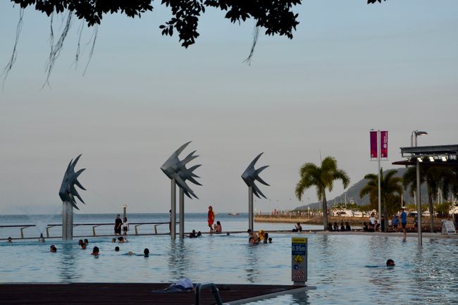 Ein öffentlicher Pool an der Strandpromenade von Cairns