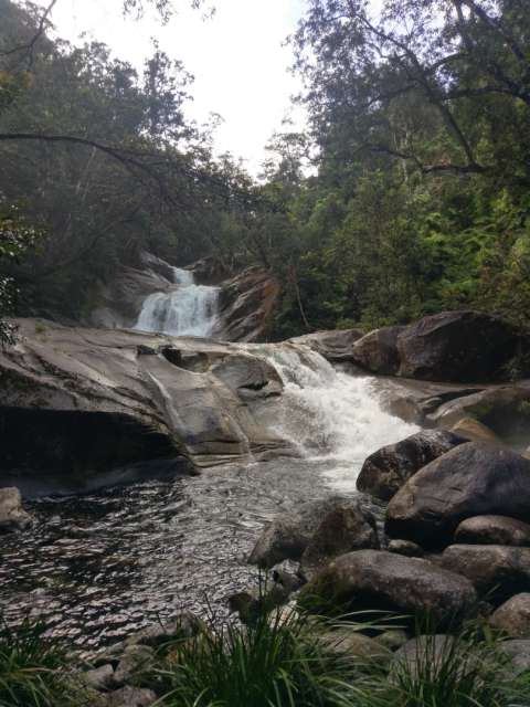 Mt Bartle Frere & Josephine Falls