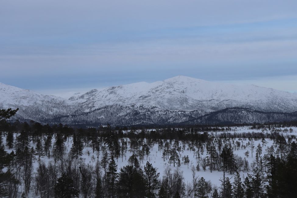 Tromsø, Gryllefjord and Harstad (18.02.-21.02.2021)