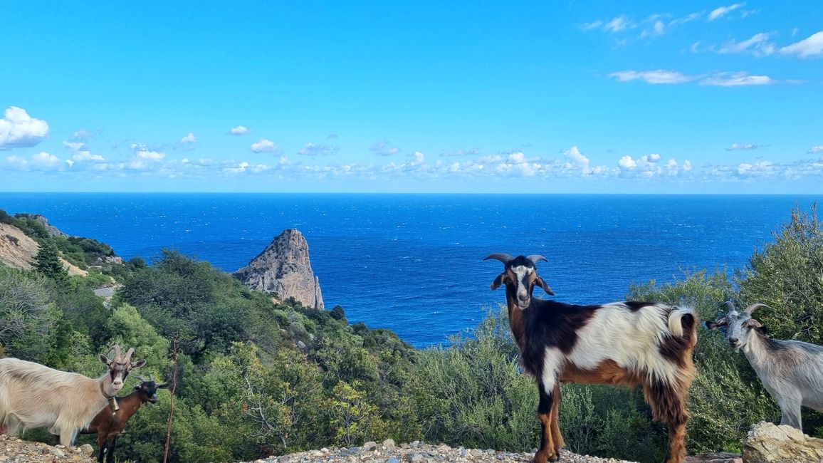 Sardinien 2023