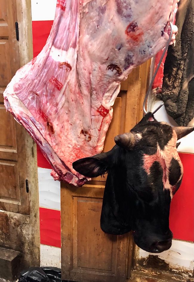 This is also Morocco: A bull's head for sale in a butcher's shop.
