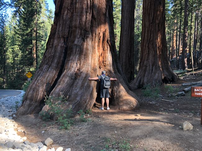 Tag 4 - Yosemite NP und Lone Pine