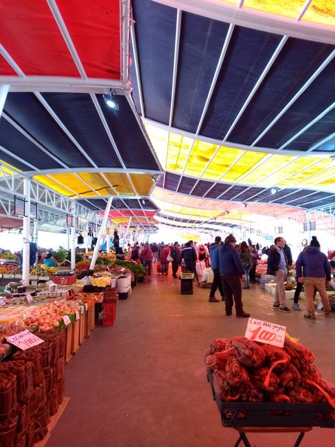 The fish market of Valdivia