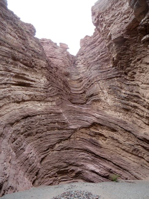 Salta, Cafayate und die Regenbogenfelsen