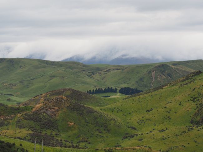 20.12.18 Moeraki Boulders, Seelöwen, Goldminen und 4°C: Hochsommer in Neuseeland