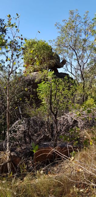 Kakadu National Park und Bitter Springs