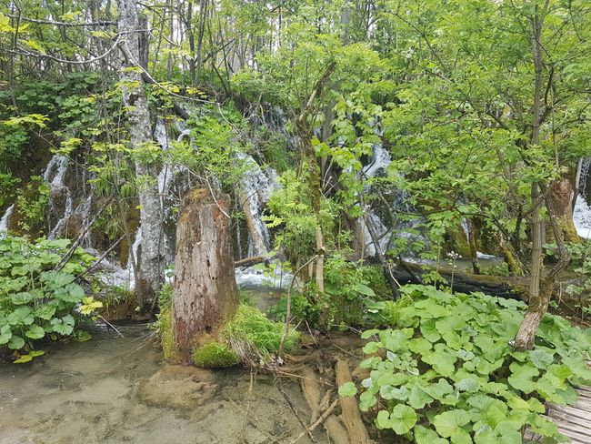 Day 6: Plitvice Natural Beauties