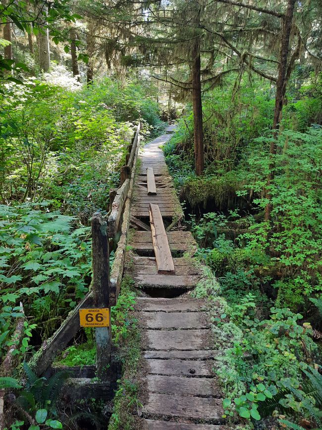 West Coast Trail auf Vancouver Island - Was für ein Weg!