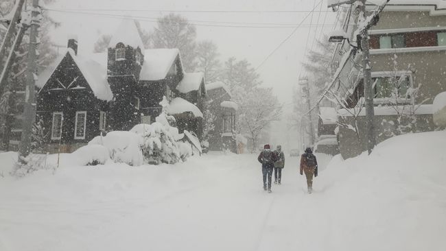 Das Ergebnis von 3 Tagen starkem Schneefall in Niseko