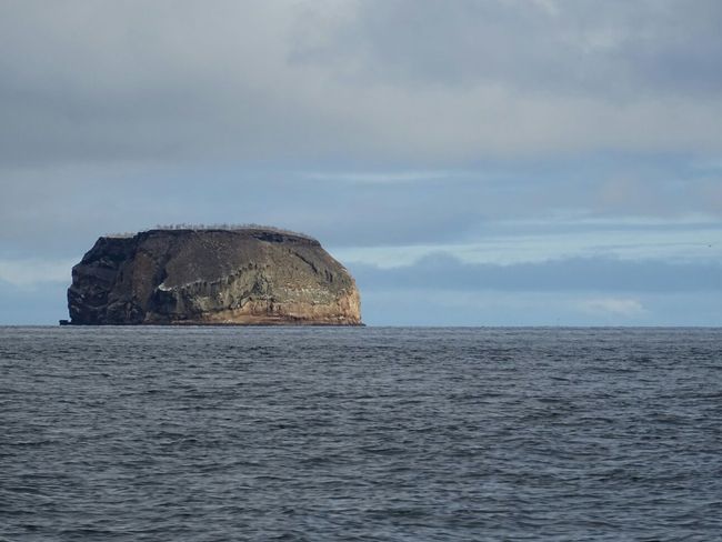 Daphne Island. Heimat unzähliger Brutvögel